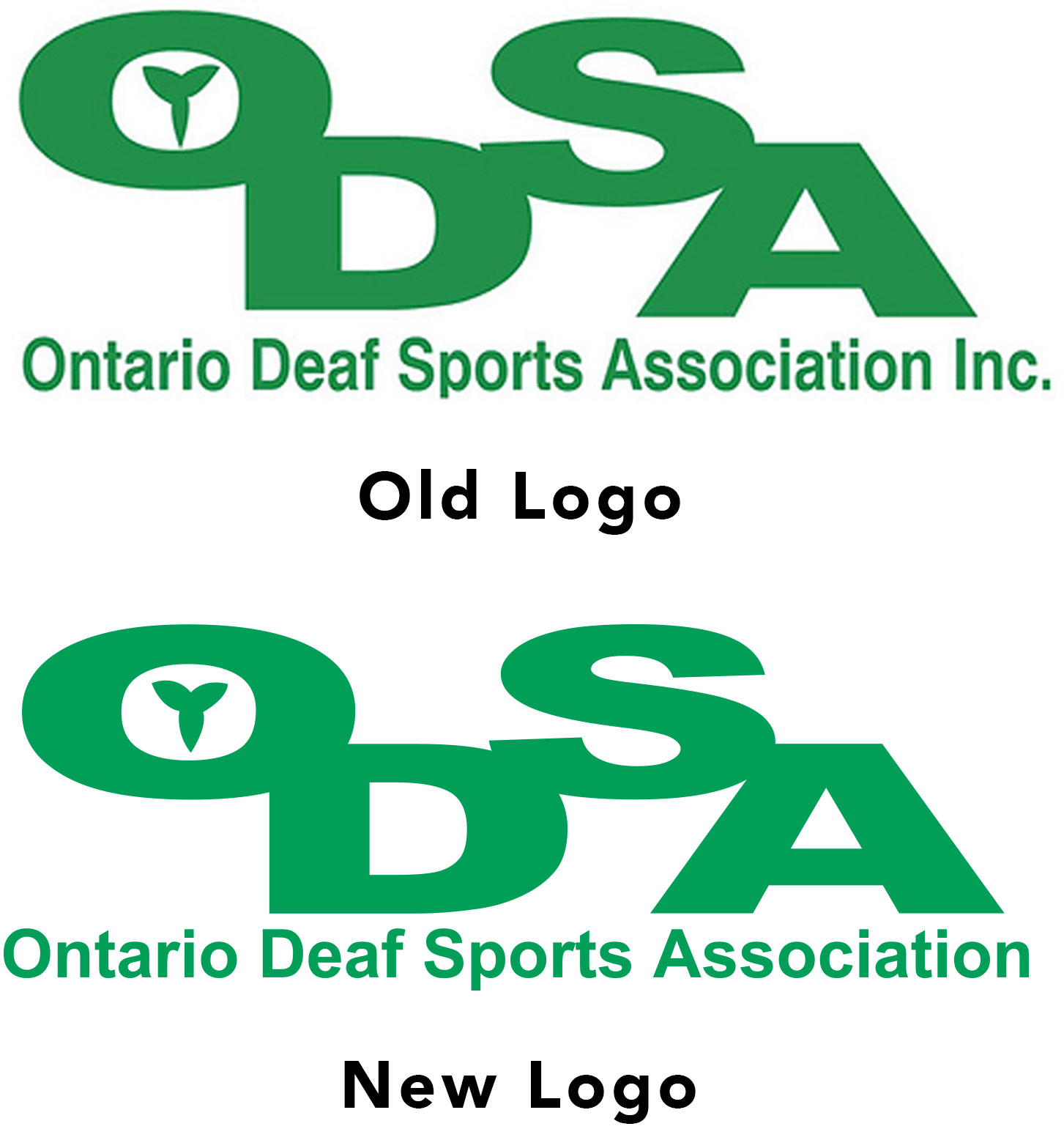ODSA Logo
